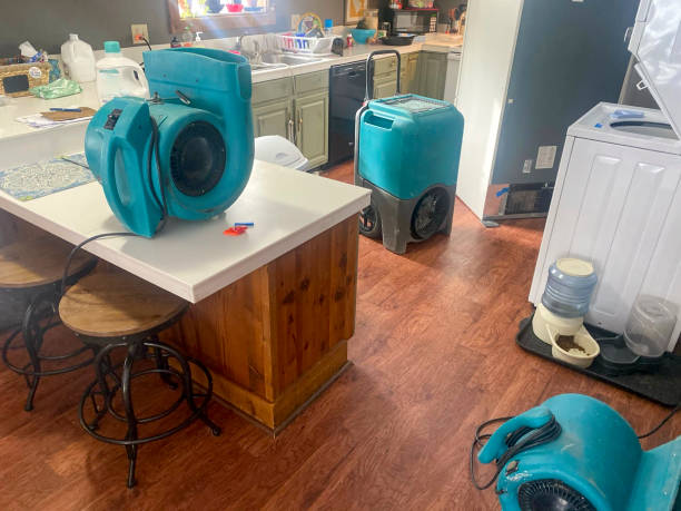 Best Professional water damage repair  in Mount Olive, AL