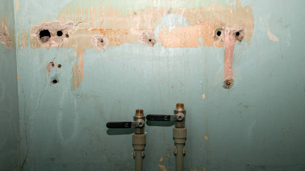 Best Flood restoration services  in Mount Olive, AL