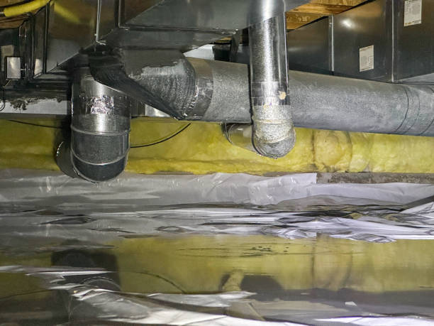 Mount Olive, AL Water damage restoration Company