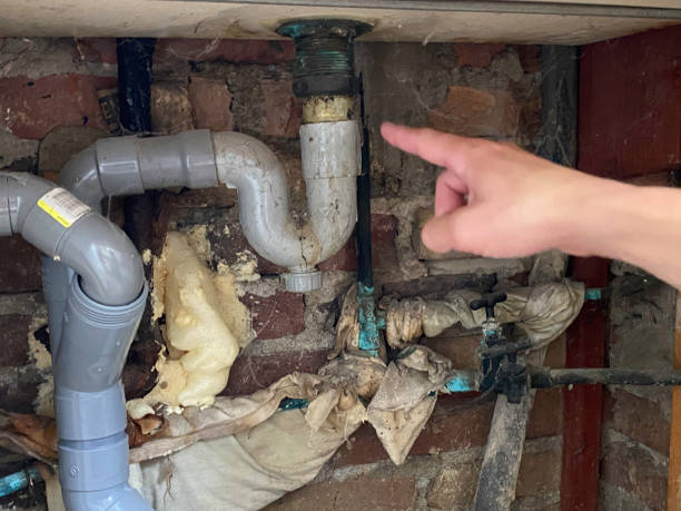 Best Water damage cleanup near me  in Mount Olive, AL