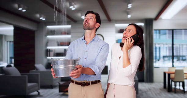 Best Carpet water damage restoration  in Mount Olive, AL
